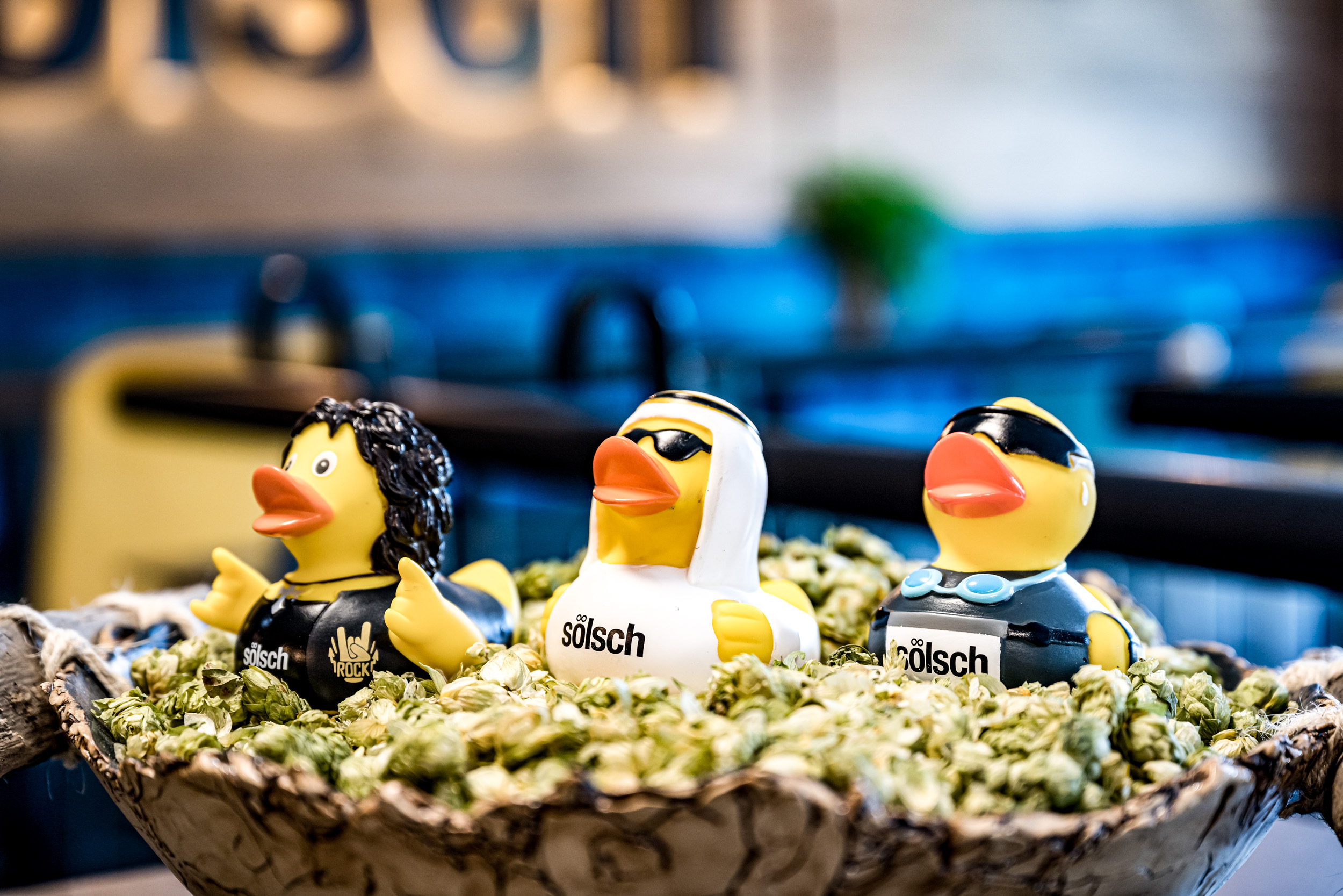 sölsch Enten 3er Kombi 2 sölsch Enten 3er Kombi 2
