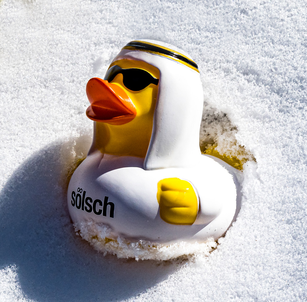 sölsch Ente Scheich sölsch Ente Scheich