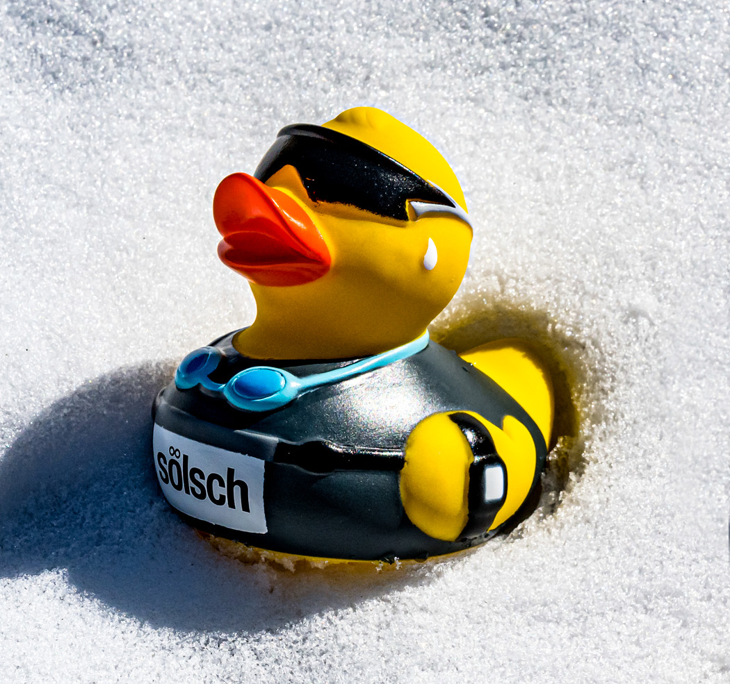 sölsch Ente Triathlet sölsch Ente Triathlet