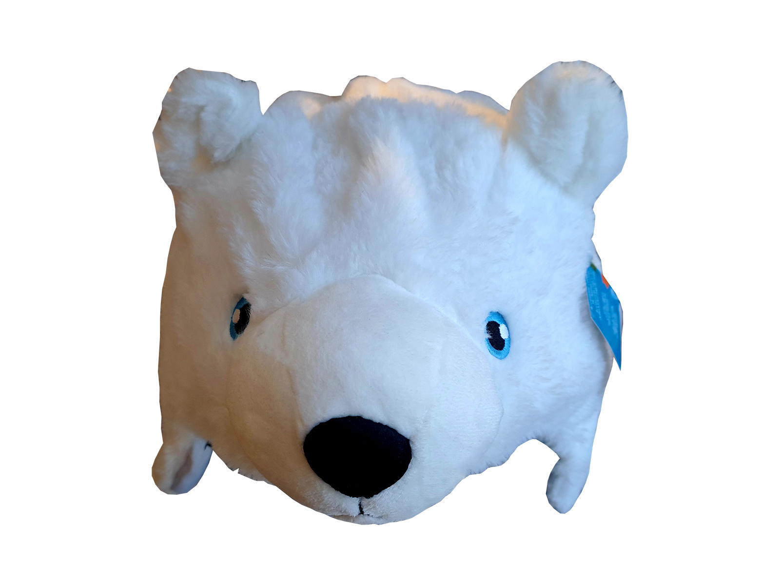 Eisbaer