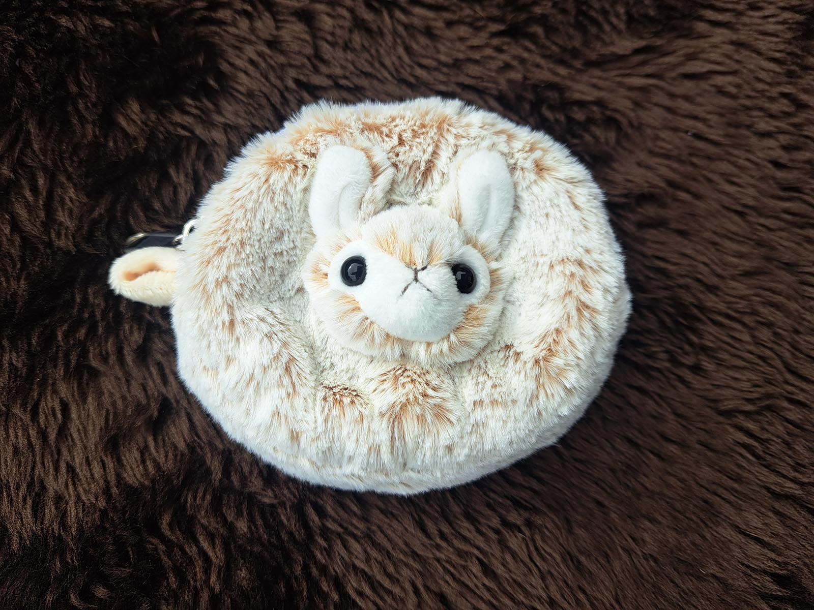 Geldtasche-Hase