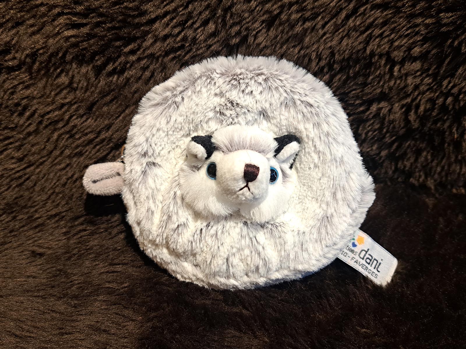 Geldtasche-Husky