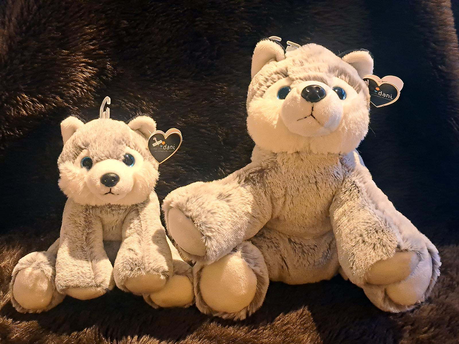 Husky-beide