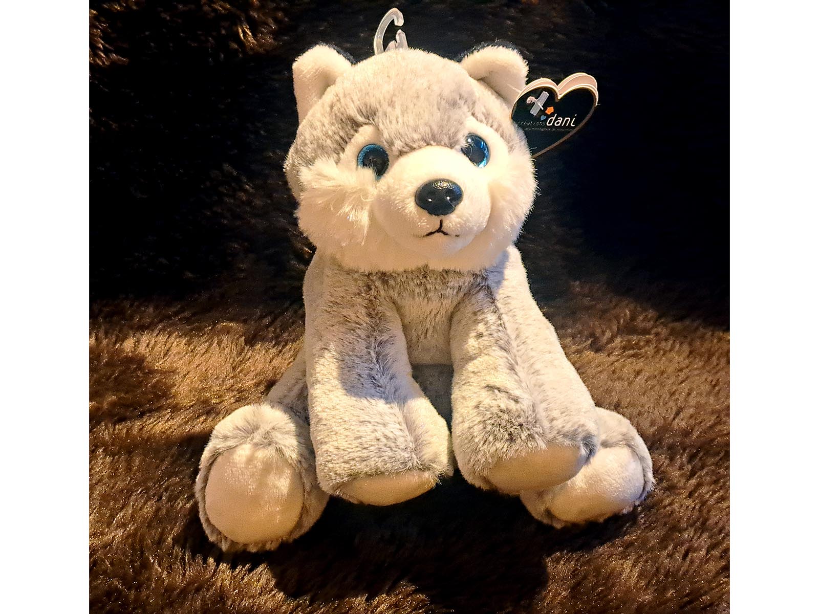 Husky-vorne
