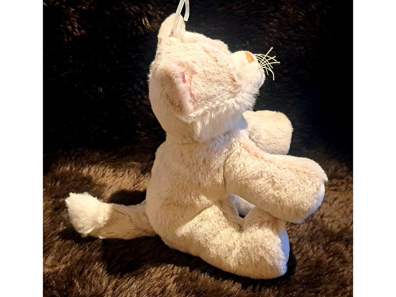 Katze-Seite