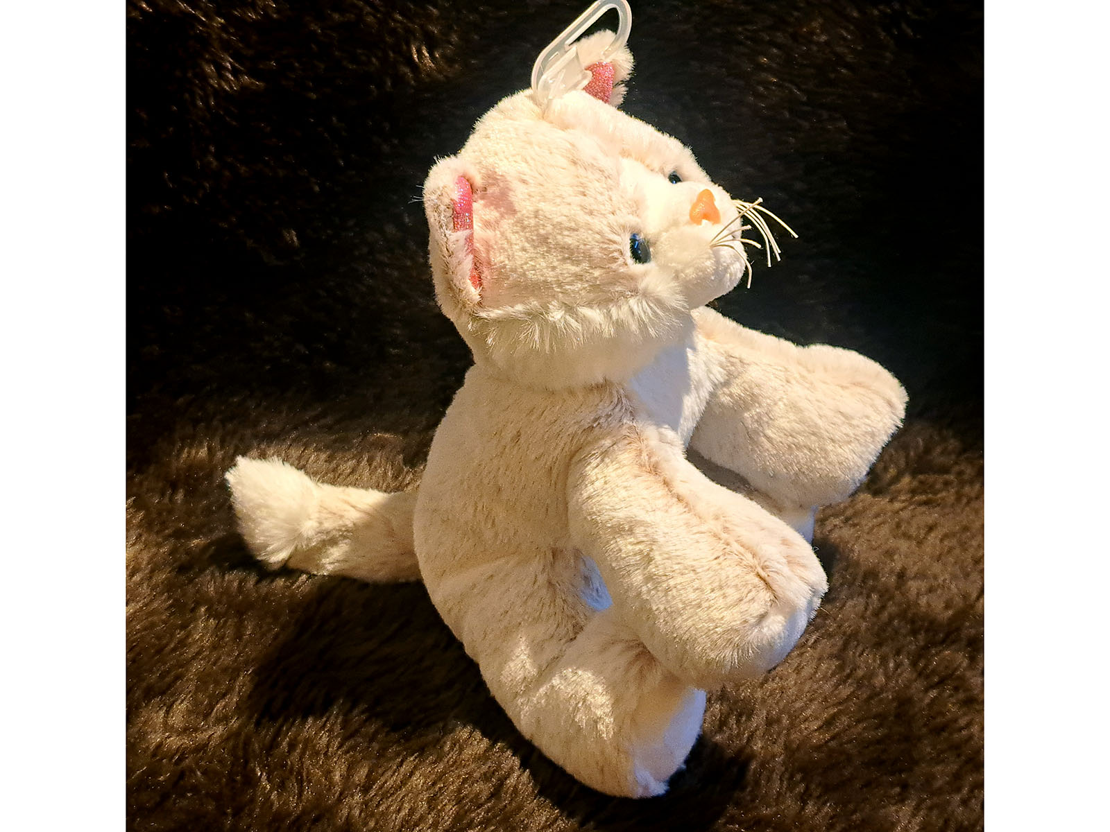 Katze-Seite1