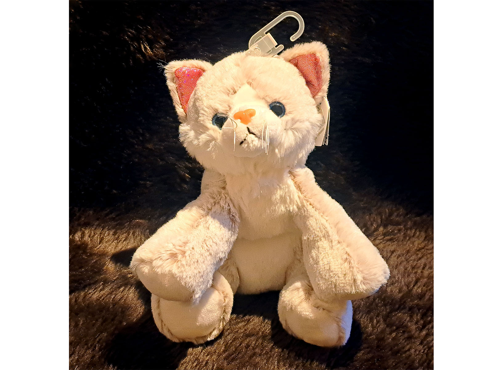 Katze