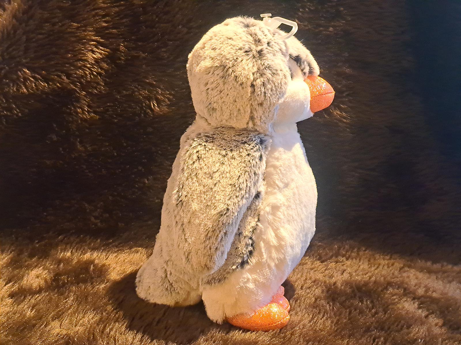 Pinguin-seite