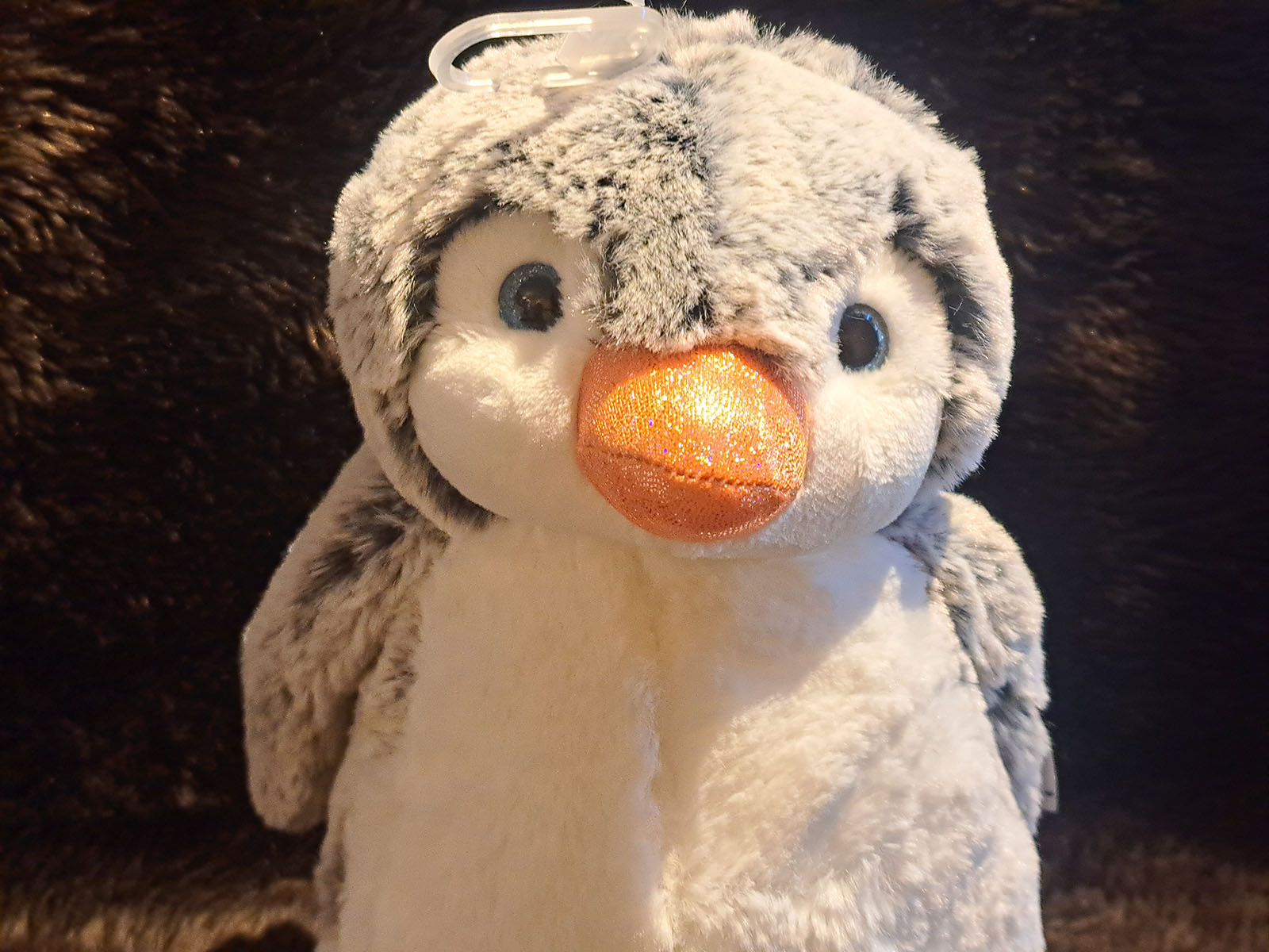 Pinguin-detail