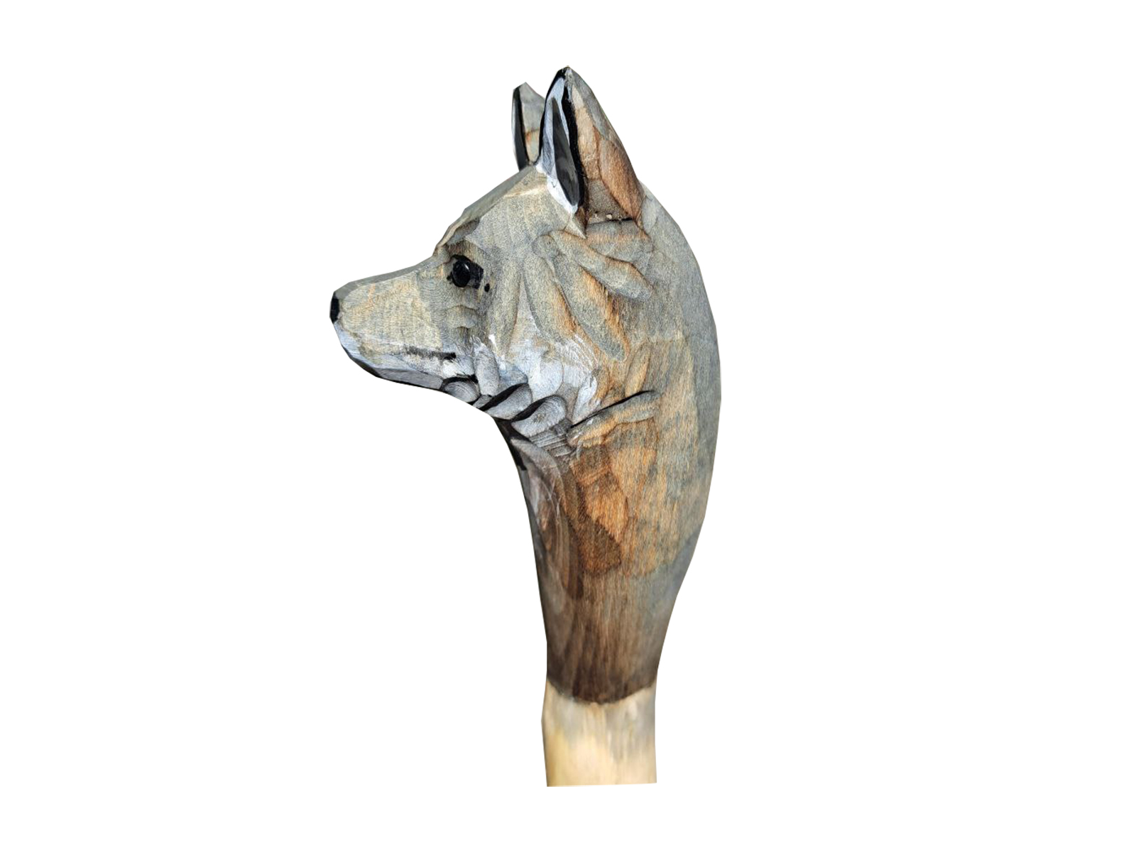 Wolf-Seite Wolf-Seite
