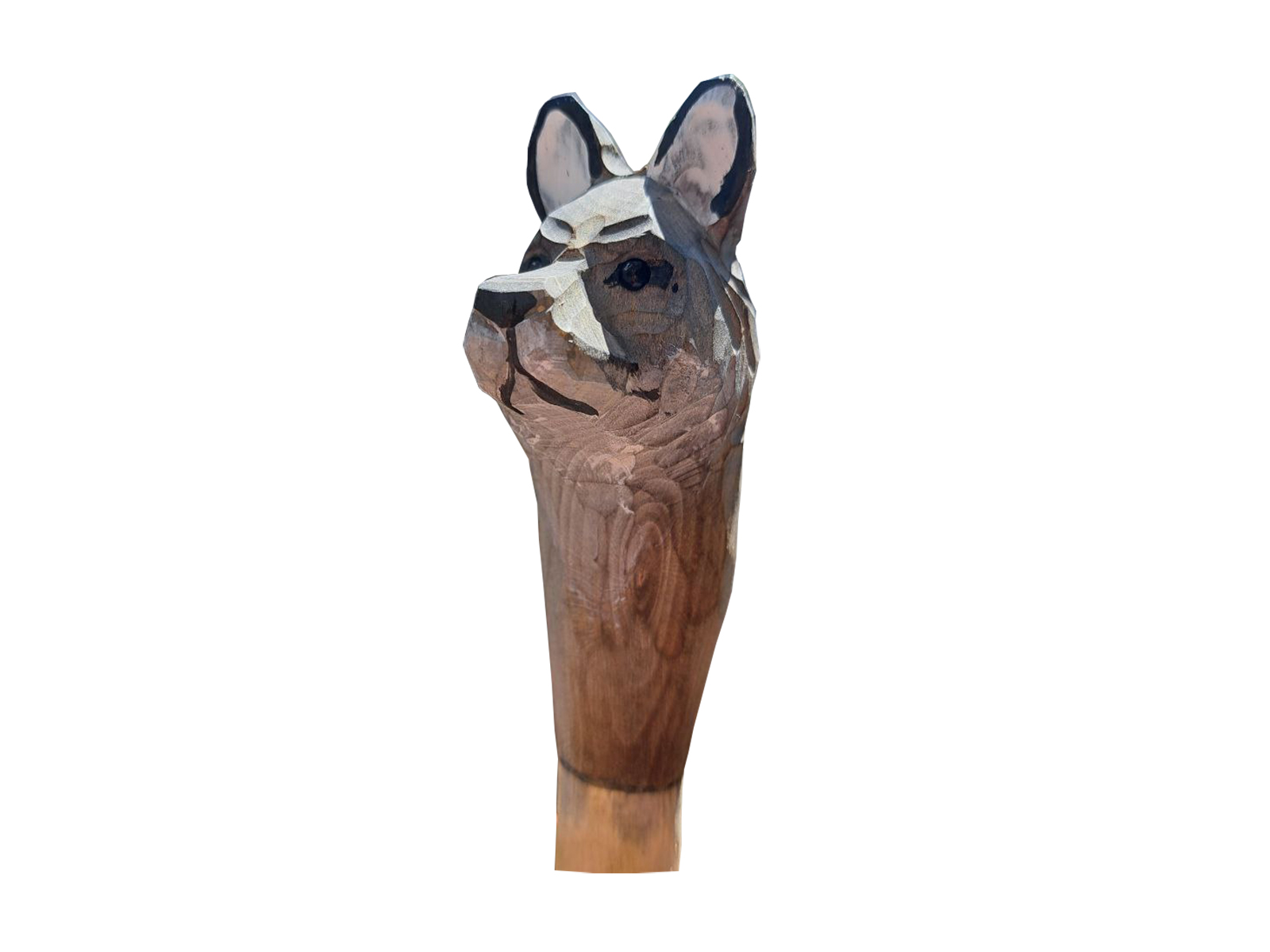 Wolf Wolf
